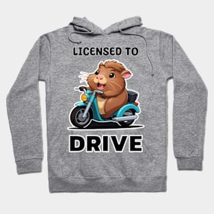 Licensed to Drive - Funny Guinea Pig on Moped Hoodie